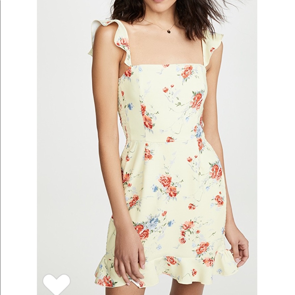 NWT WAYF dress